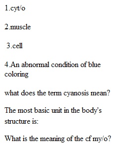 Chapters 2 & 3 Quiz